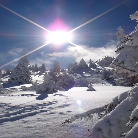 דירה Bergliebe By Managers