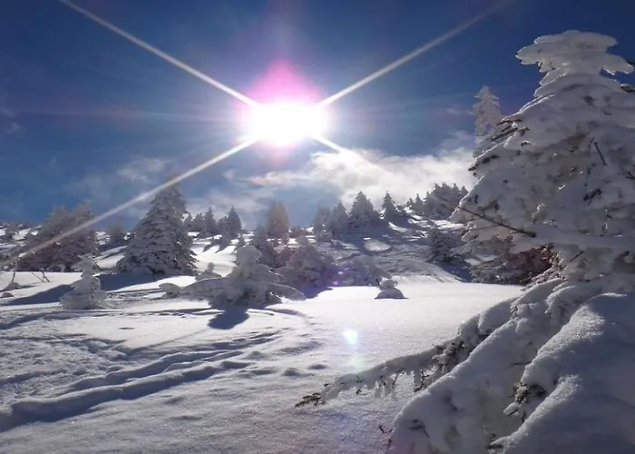 公寓 Bergliebe By Managers